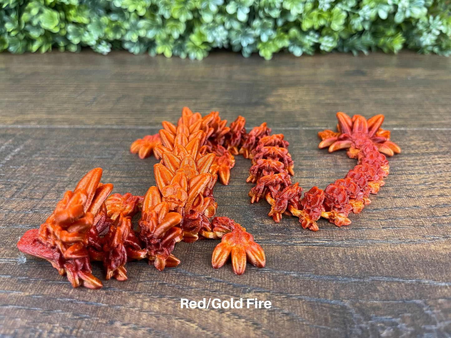 Orchid Dragon (Cinderwing3D)